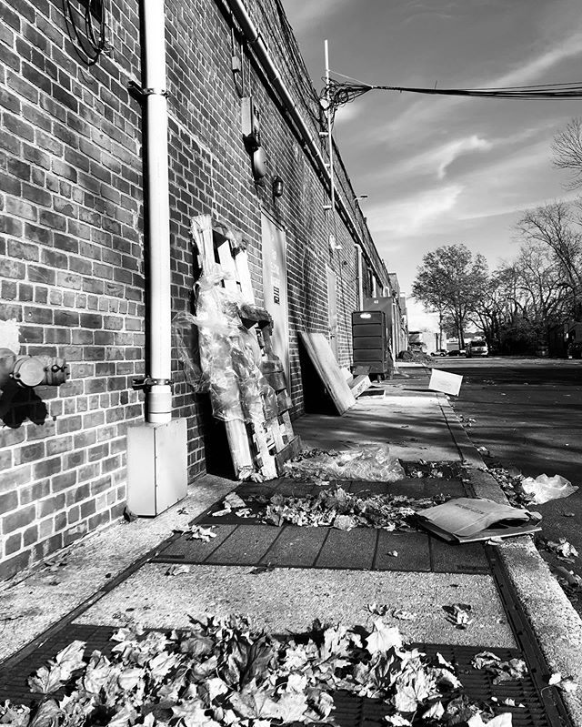 Smithtown,Ny
.
.
.
.
#photography #blackandwhitephotography #smithtown #newyork #longisland #foliage #fallfoliage #coldweather #backalley #blackandwhite #litter #brickwall #texture