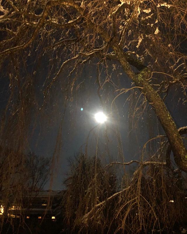 Almost full moon
Smithtown,NY