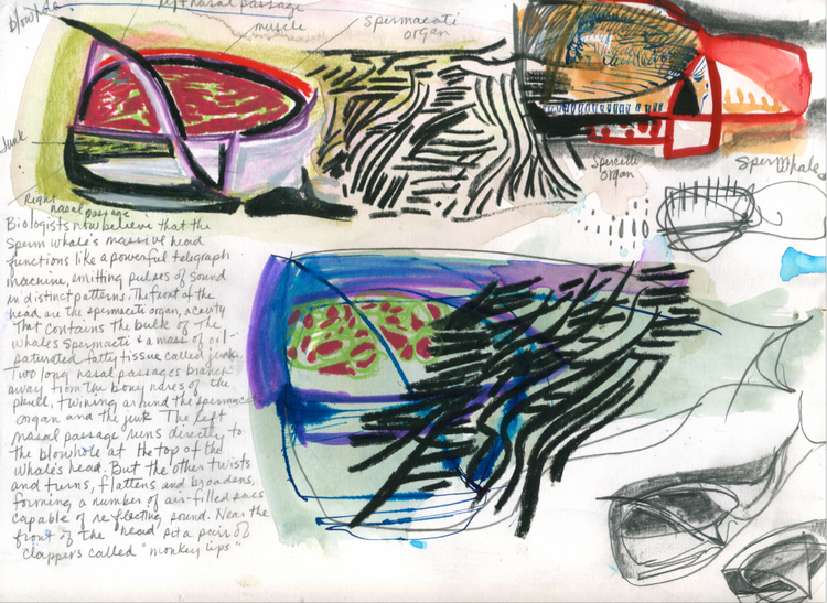 Sketchbook, 2015