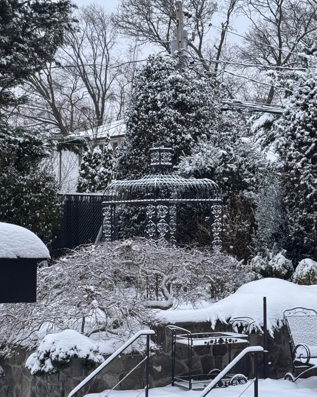 Snowy Sunday!! #SnowDay