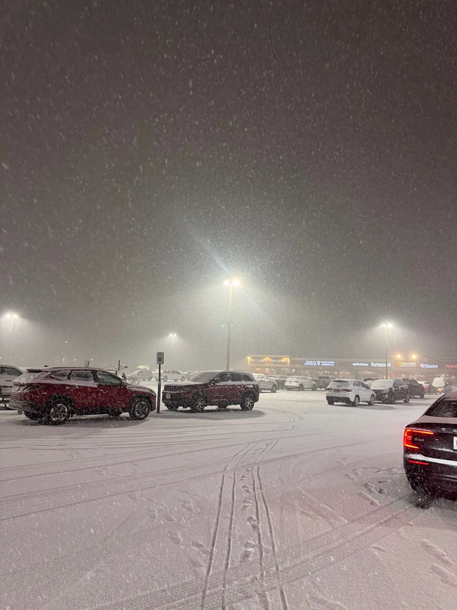 It was 
Beautiful the way the snow fell and blanketed the landscape in a picturesque stillness.