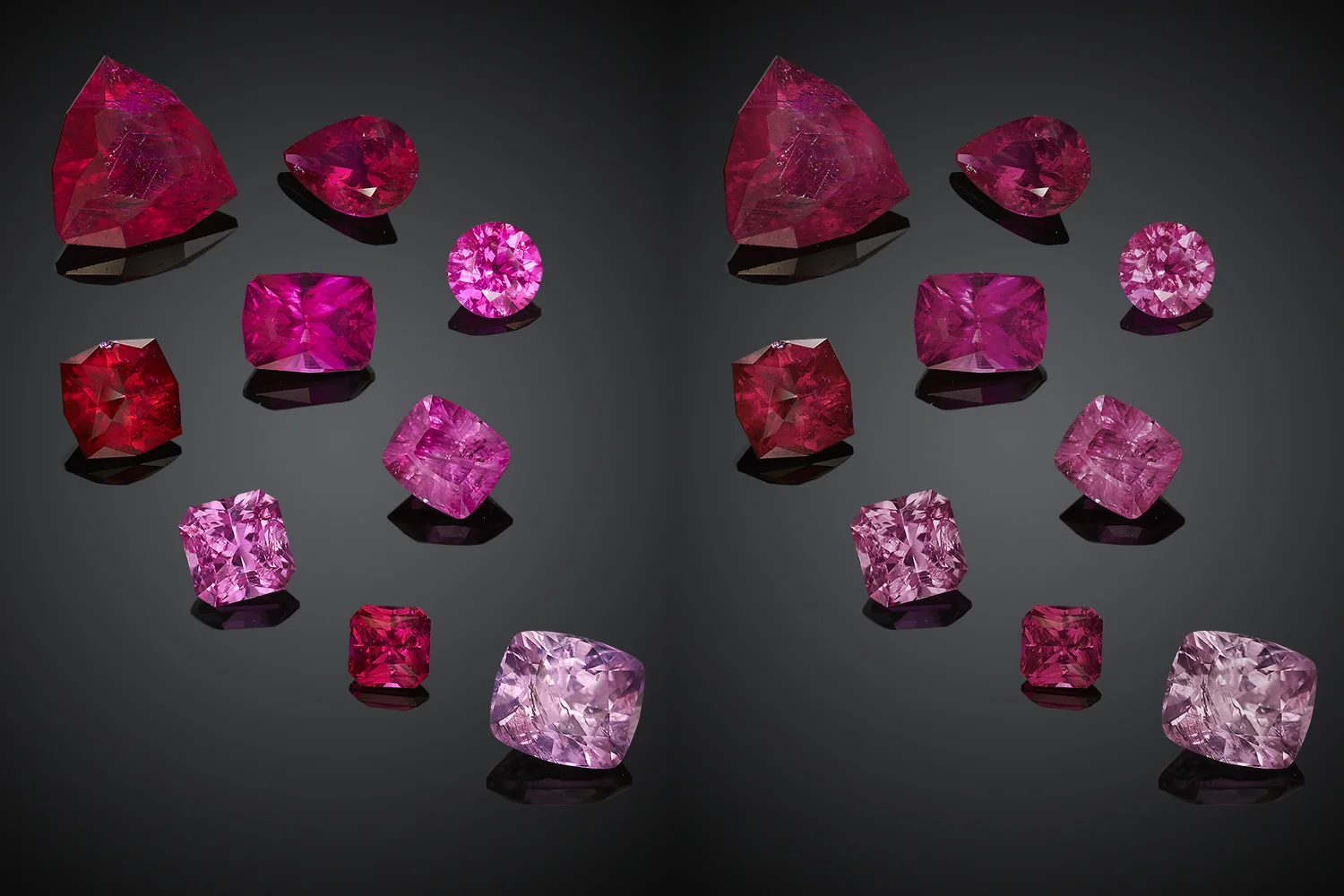 Ruby and PS copy.jpg