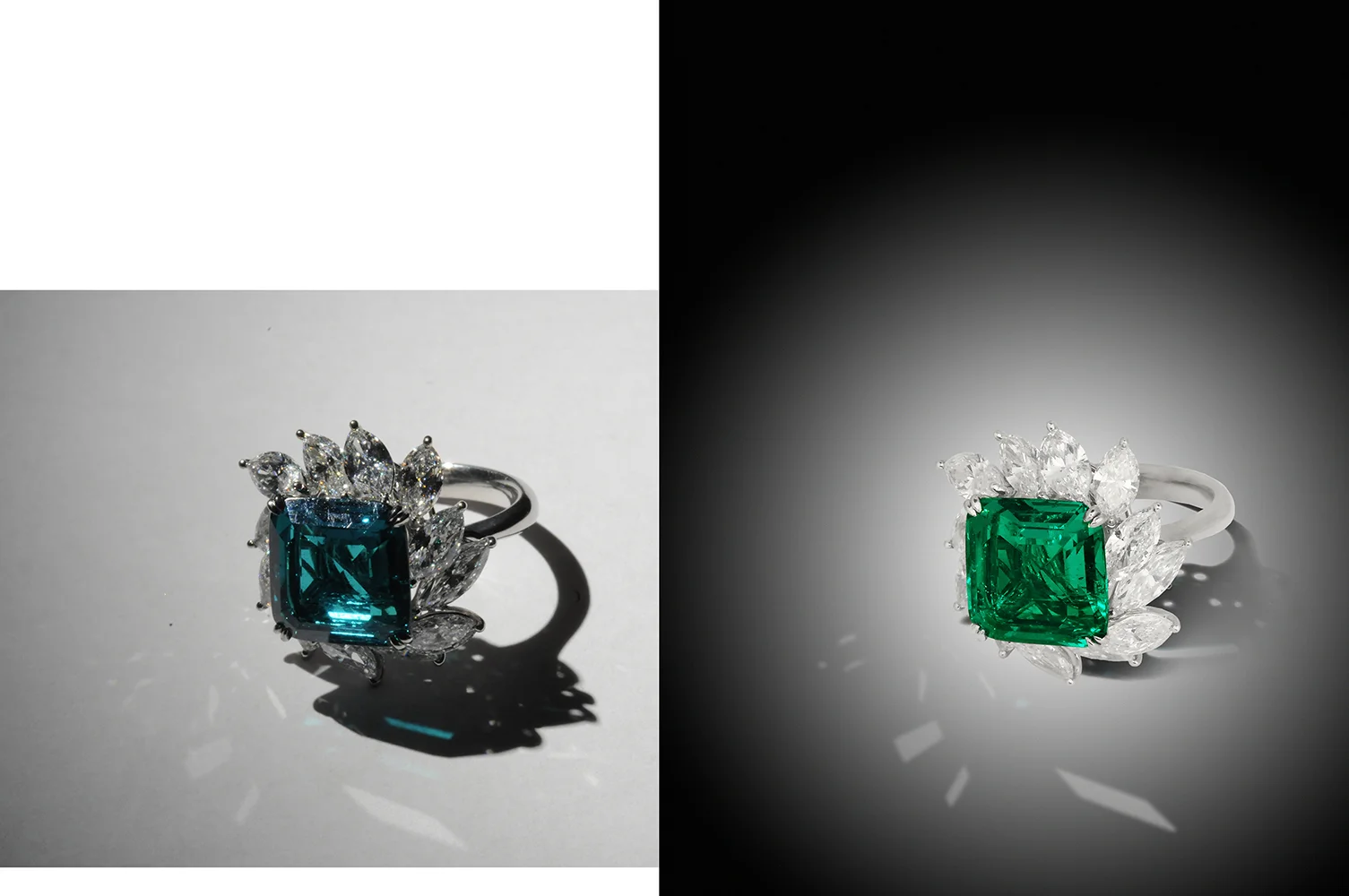Jewelfolio ring_1.jpg