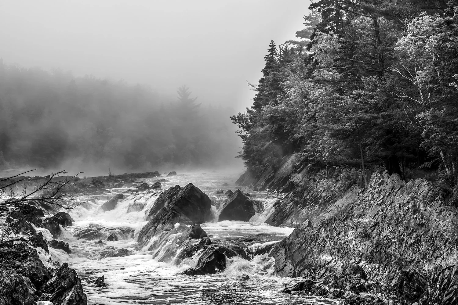 Jay Cooke State park