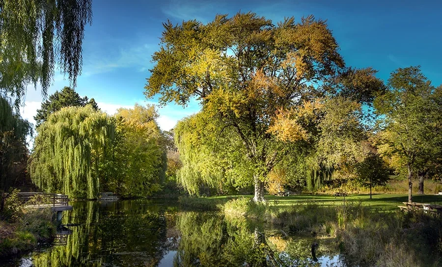 Phalen Regional Park