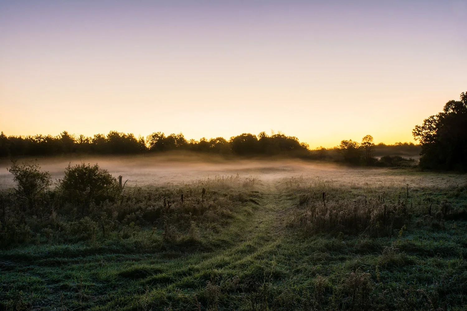 Stacy Minnesota field 