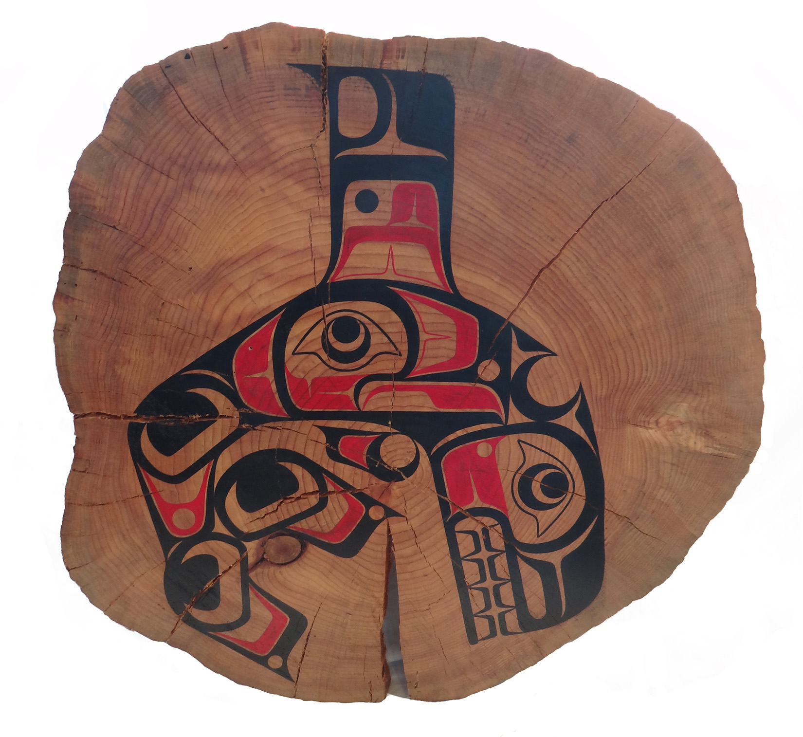 Killerwhale by James Johnson / Live Edge Aleppo Pine 40"