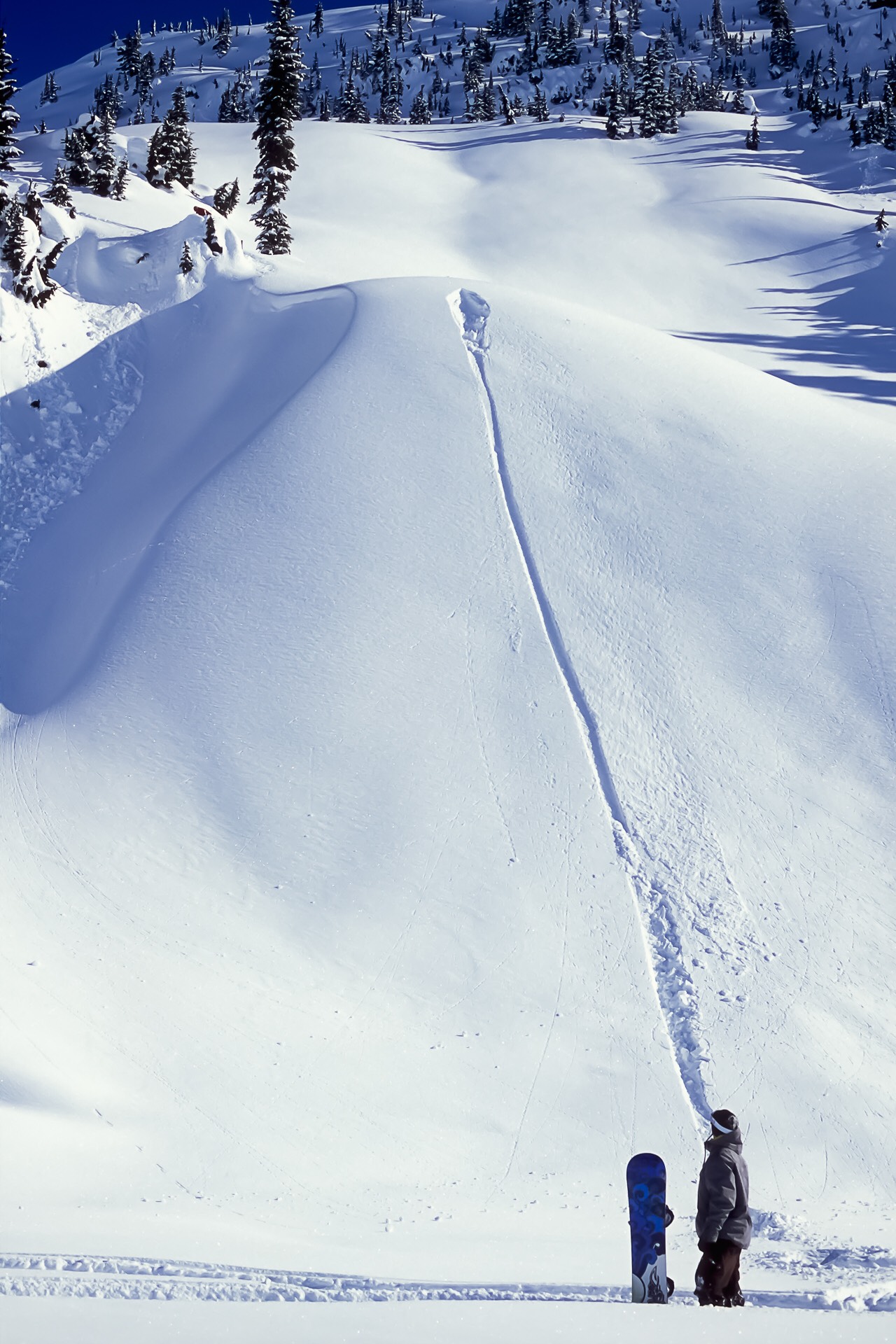 Single Track / photo: Dano Pendygrasse