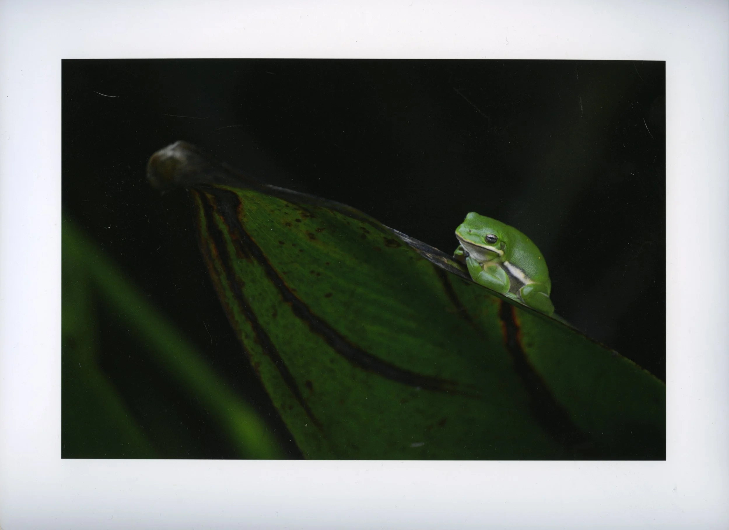  George Mason University, Fall 2023 Digital Photography 1 