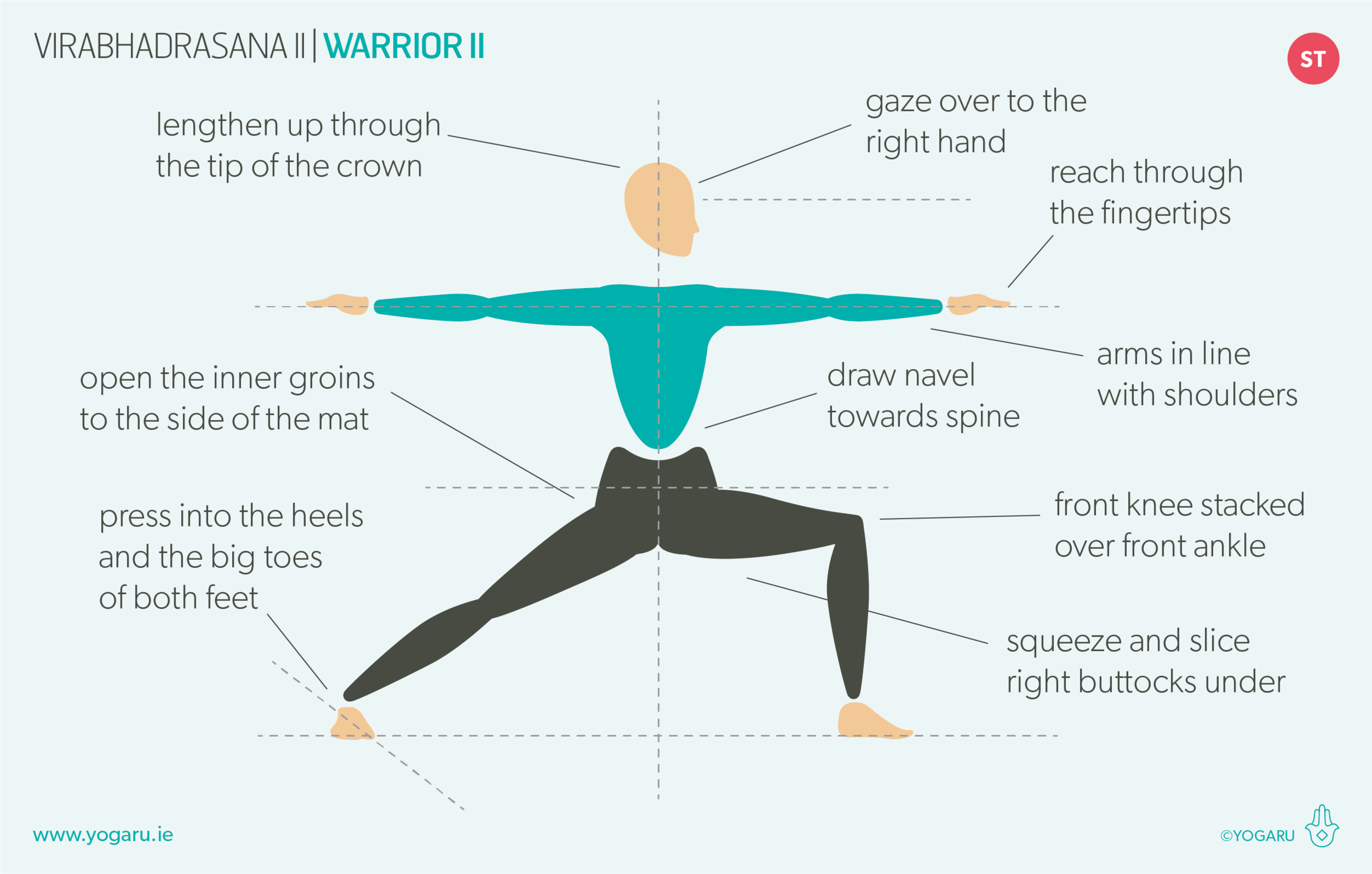 https://images.squarespace-cdn.com/content/v1/55a9457de4b0e82a7749b6d3/1600083508865-8HY0TF6MSIRR3X9N4PBQ/YOGARU_Virabhadrasana%2BII_PB.png