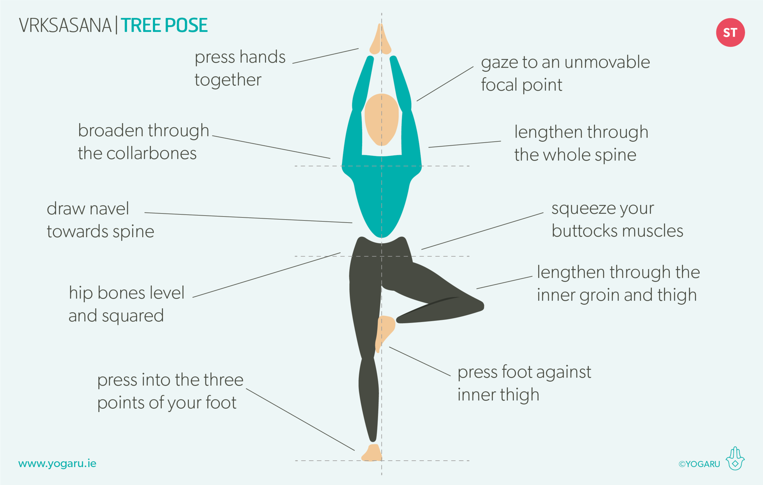 4. Vrksasana or tree pose: Benefits:- → This aasana is great for the  muscles - yoga tips