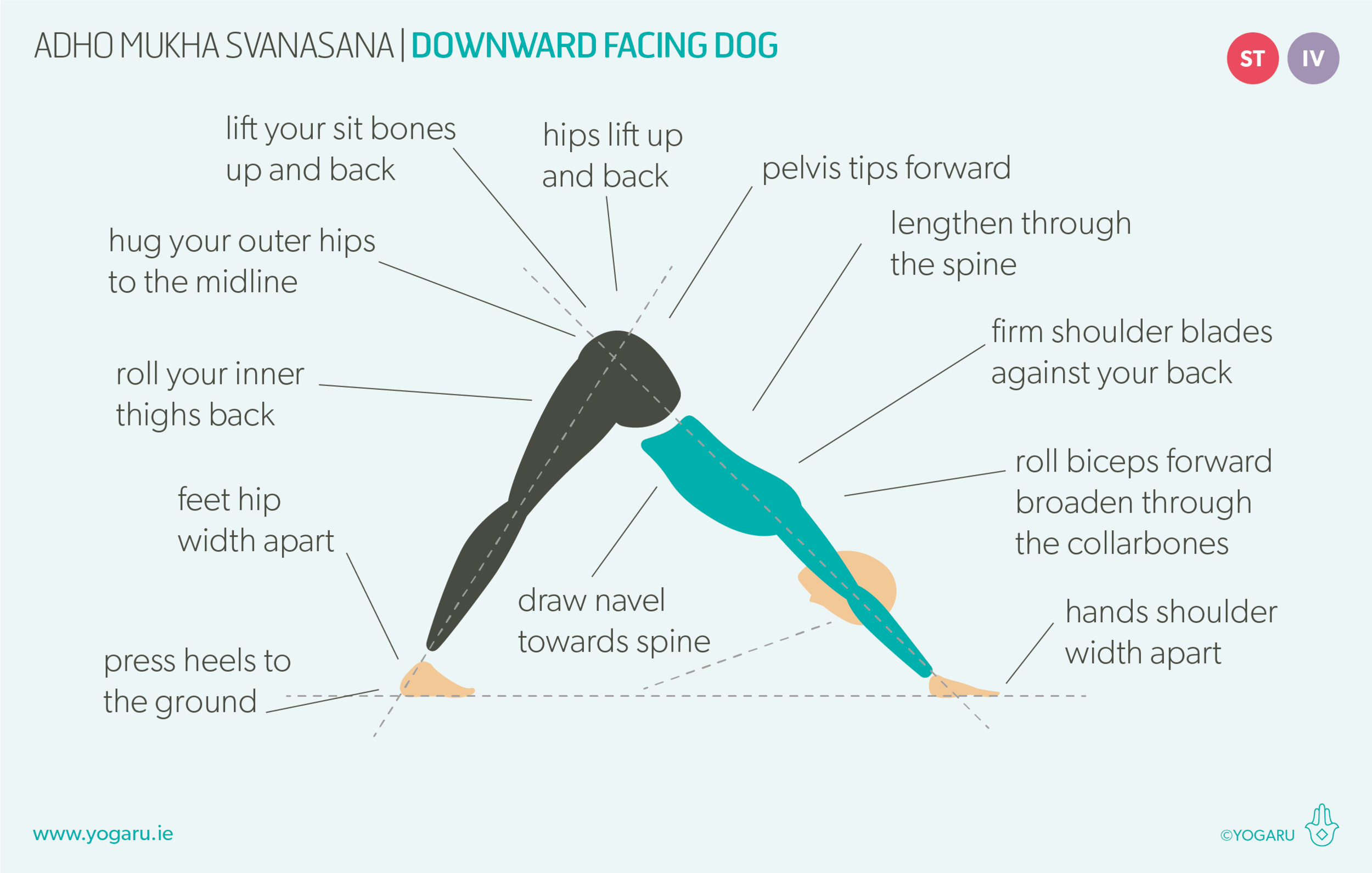 YOGARU_Adho Mukha Svanasana_PB.png