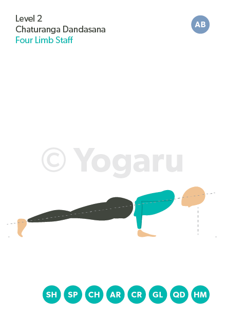 Chaturanga Dandasana (Quatro membros da equipe de funcionários)