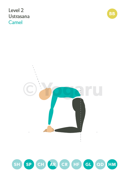 Foundations Of Yoga - Camel Pose - Ustrasana - YouTube