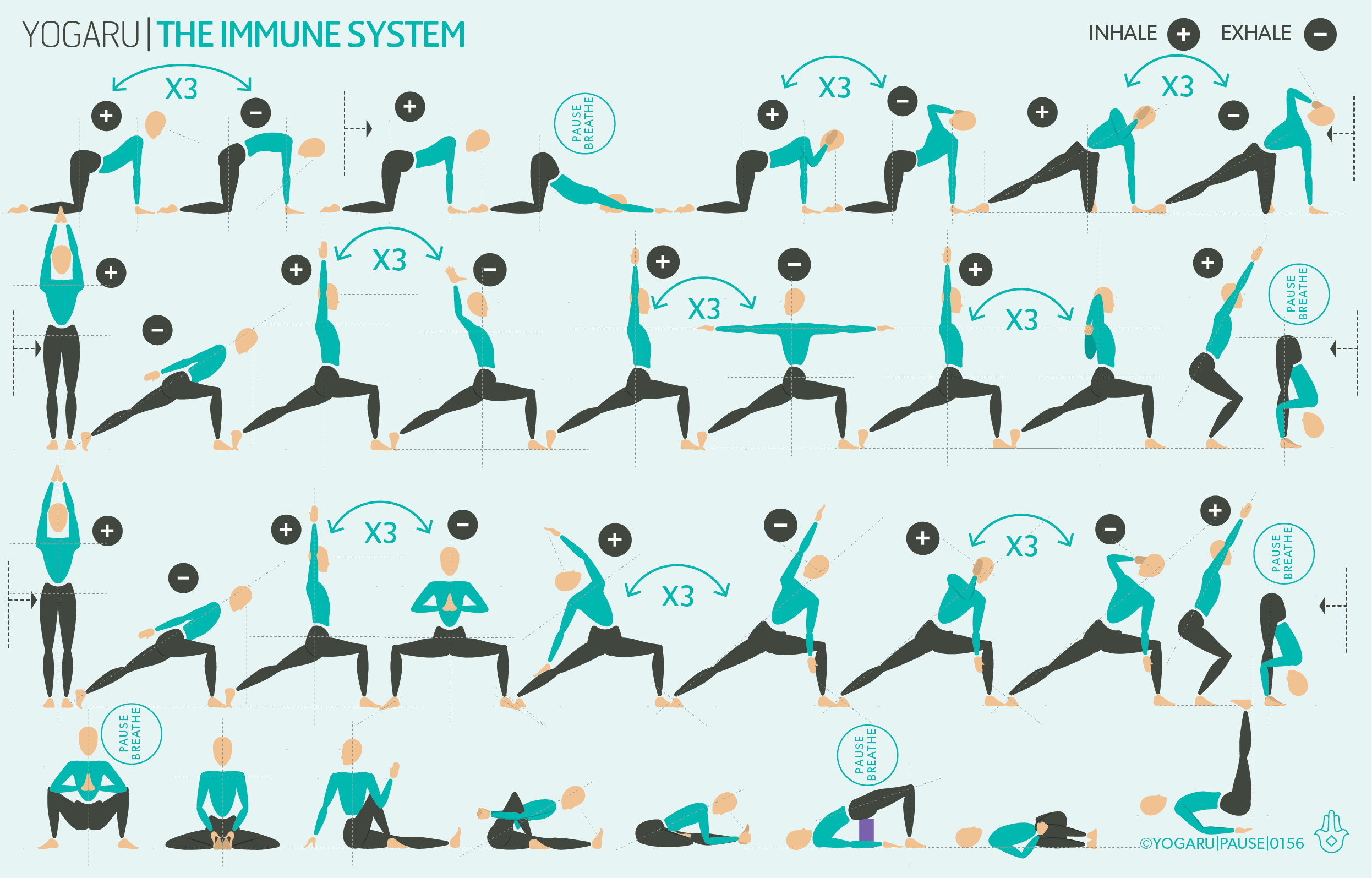 Immune Boosting Yoga Sequence to Stay Flu-Free! - Yoga Rove