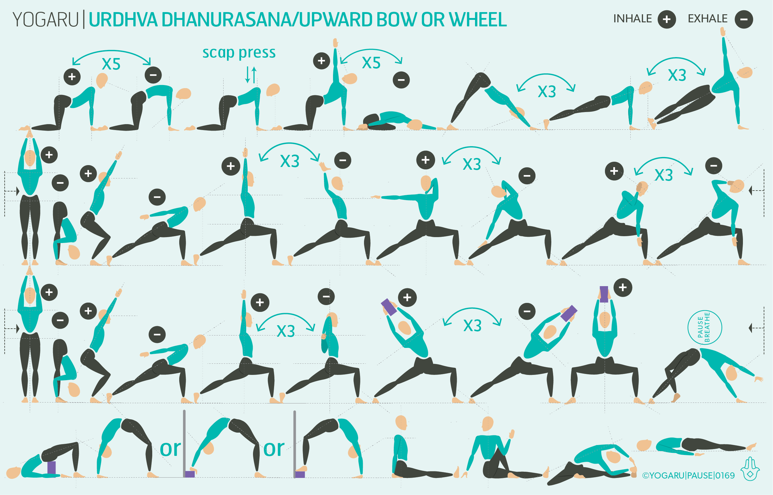 URDHVA DHANURASANA - UPWARD BOW OR WHEEL