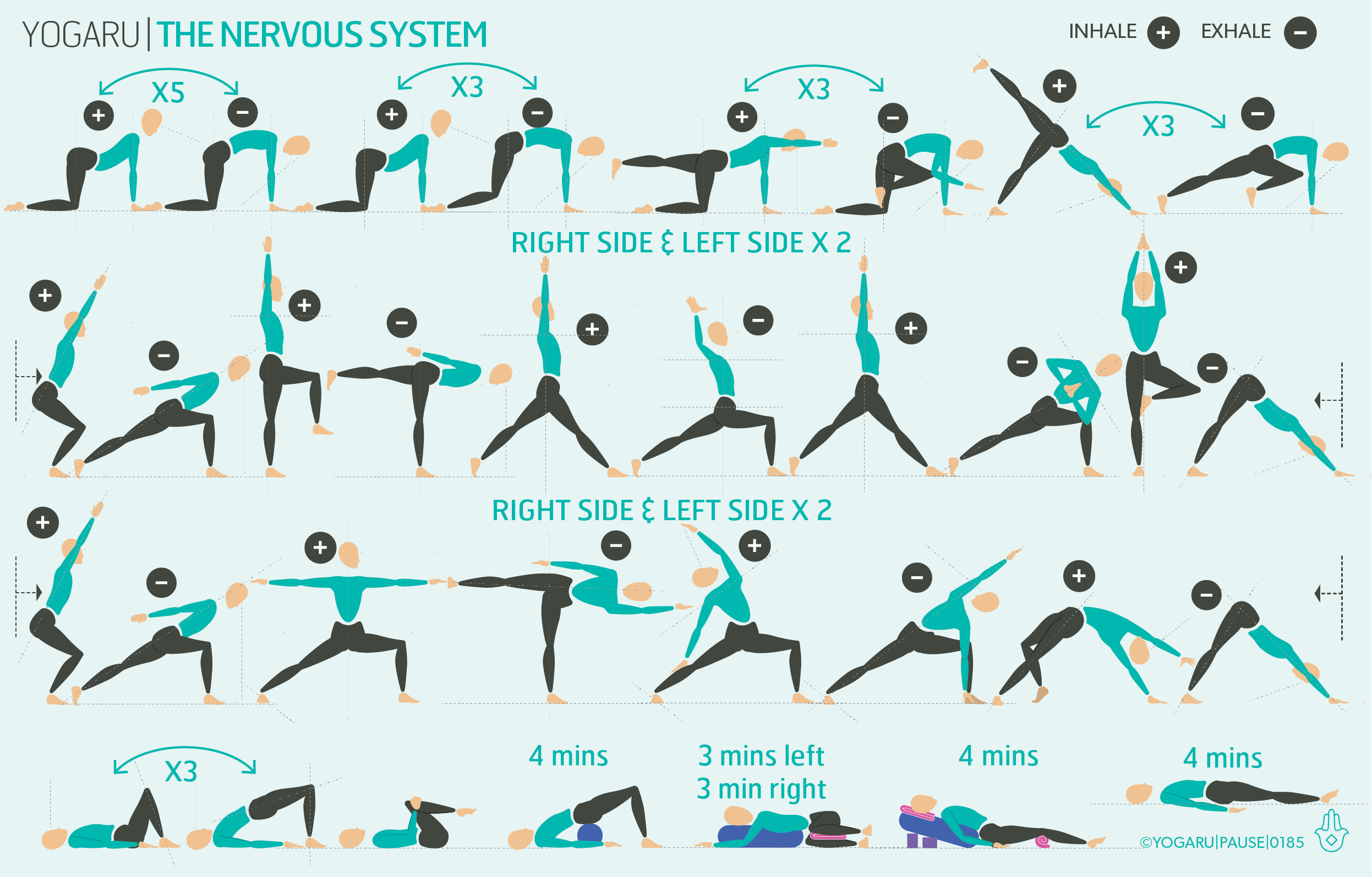 THE NERVOUS SYSTEM