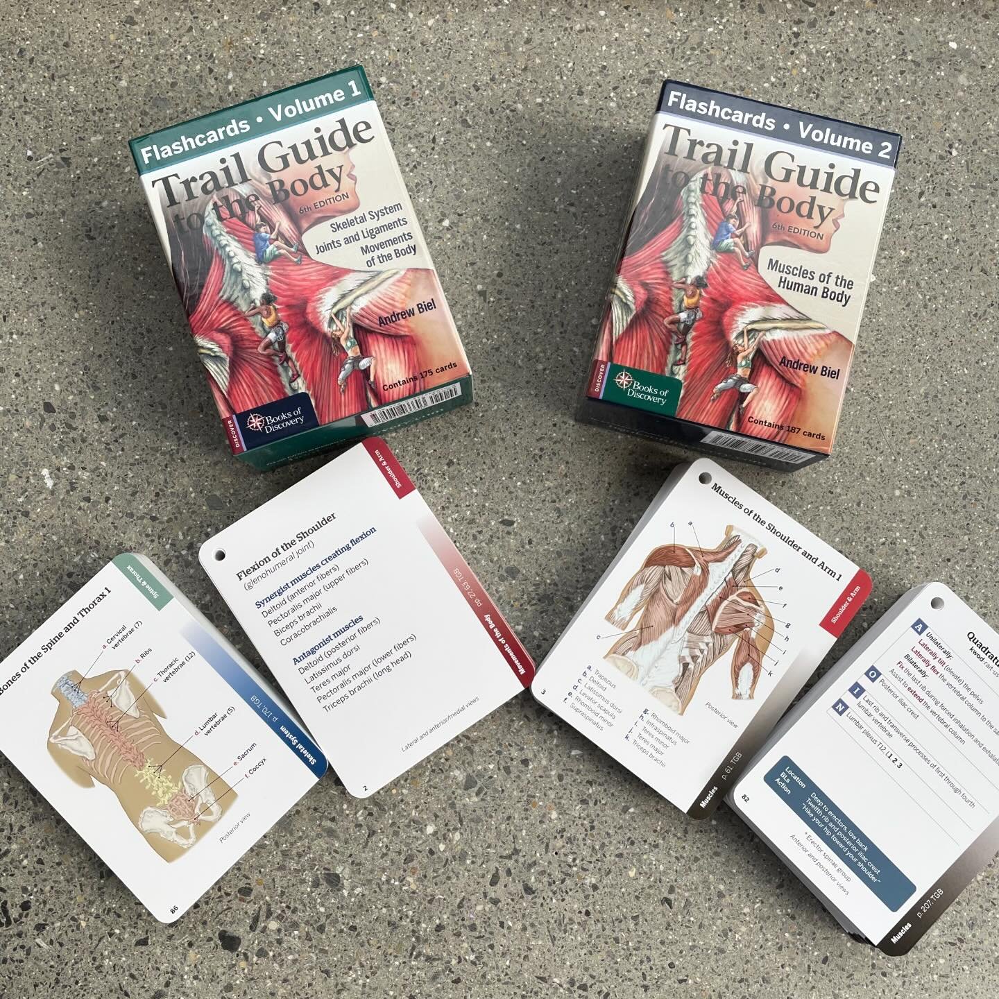 RECOMMENDATION. Highly recommend these amazing anatomy flashcards by Andrew Biel @booksofdiscovery. Studying anatomy, and understanding how our bodies move was a game changer for both the effectiveness of my own personal practice and for my public an