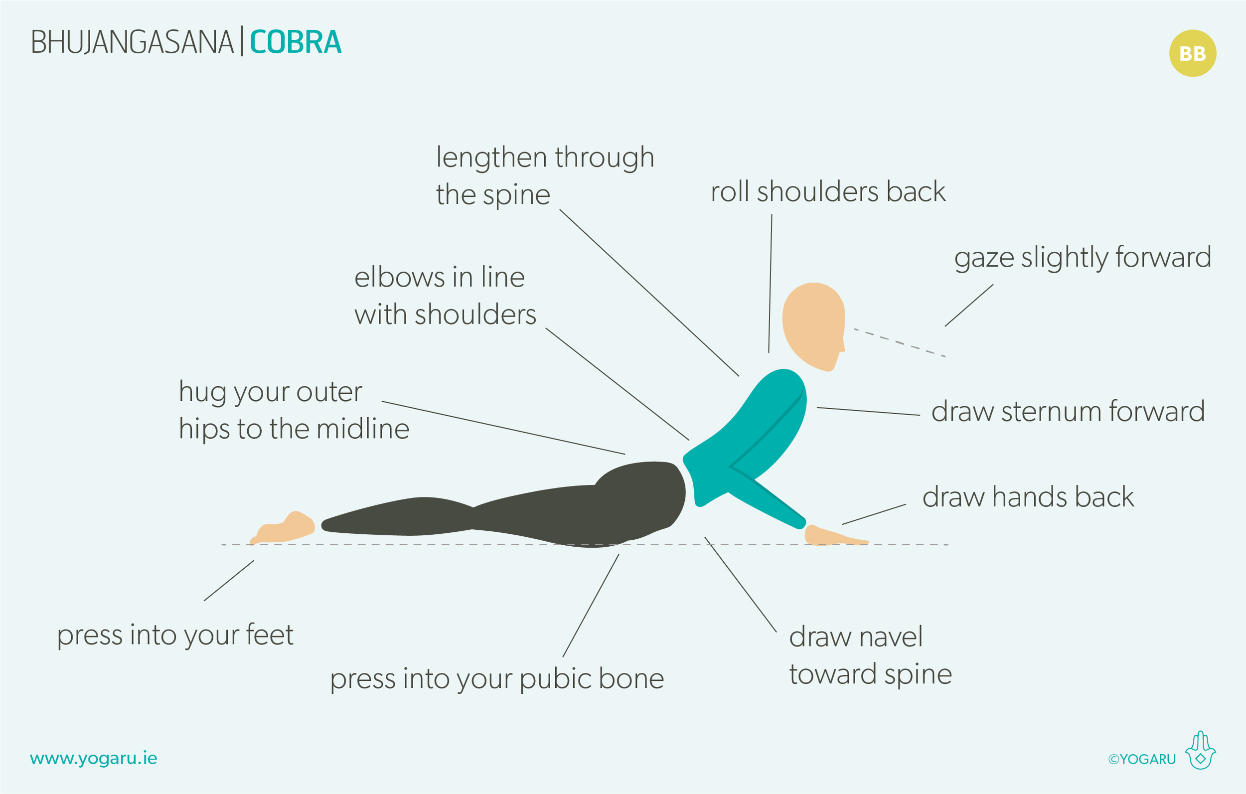 The Anatomy of Bhujangasana (Cobra Pose) | Tirisula Yoga Pilates