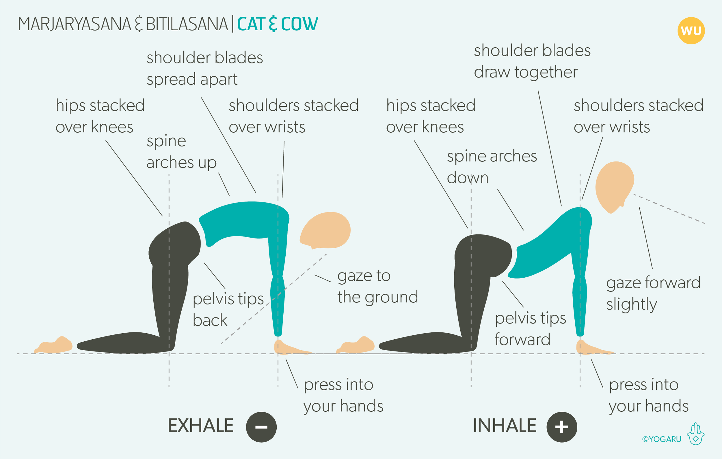 Improve your body posture by Gomukhasana (Cow Face Pose) | by yogtreat |  Medium