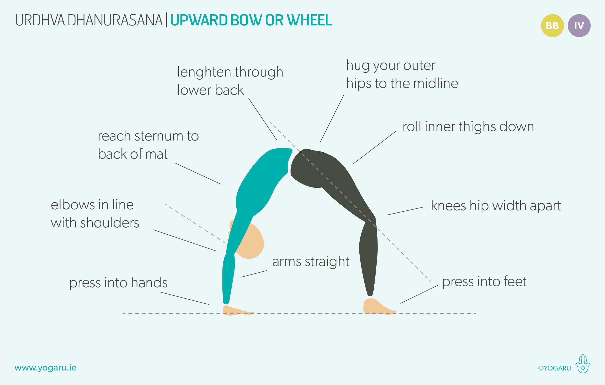 Wheel Pose - Bodhi School of Yoga