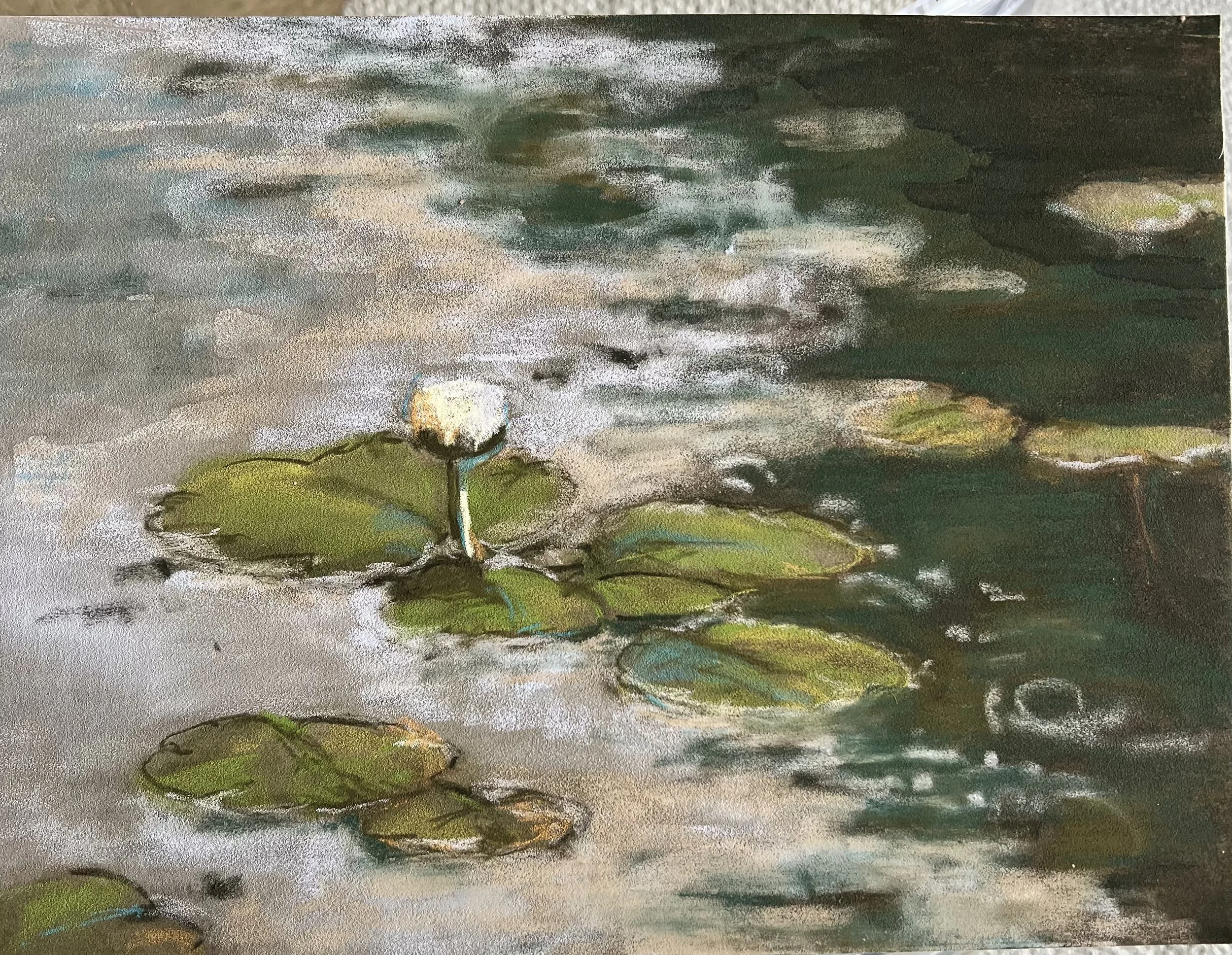 Water Lilies