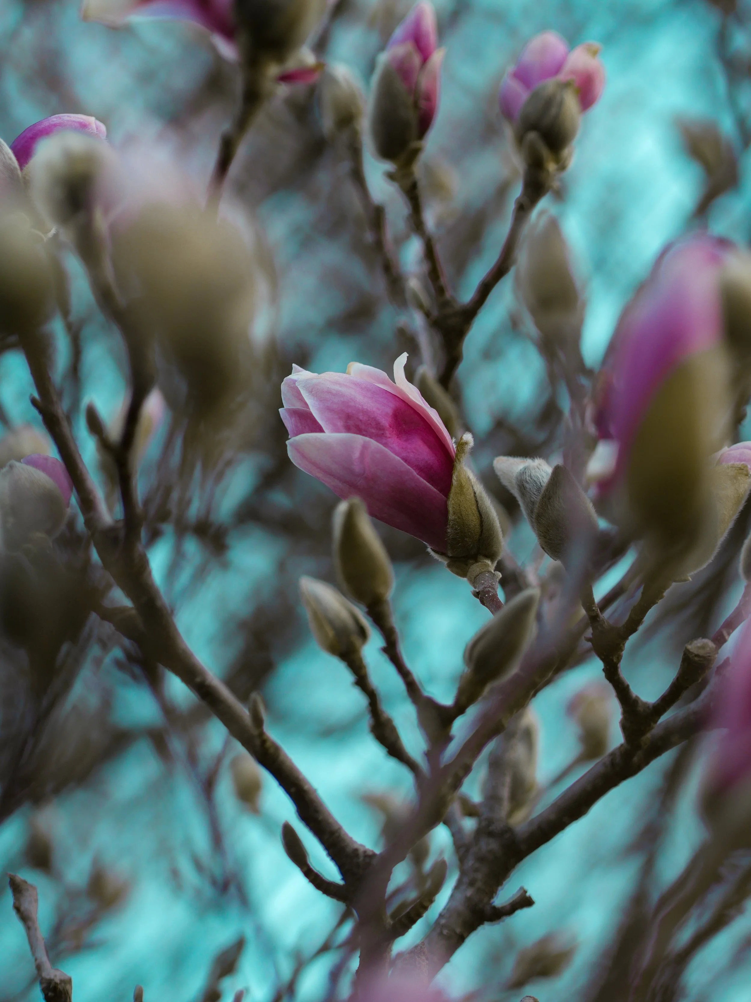 transition-unsplash.jpg