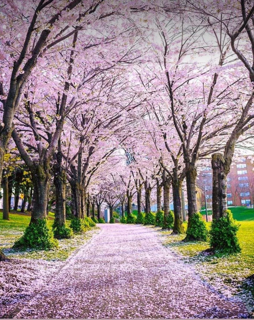 50 Ways to Find Happiness in Toronto