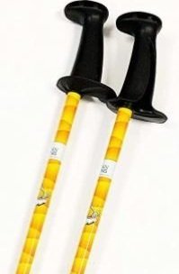 Can I Use Hiking Poles for Nordic Walking? Why It’s Not Recommended