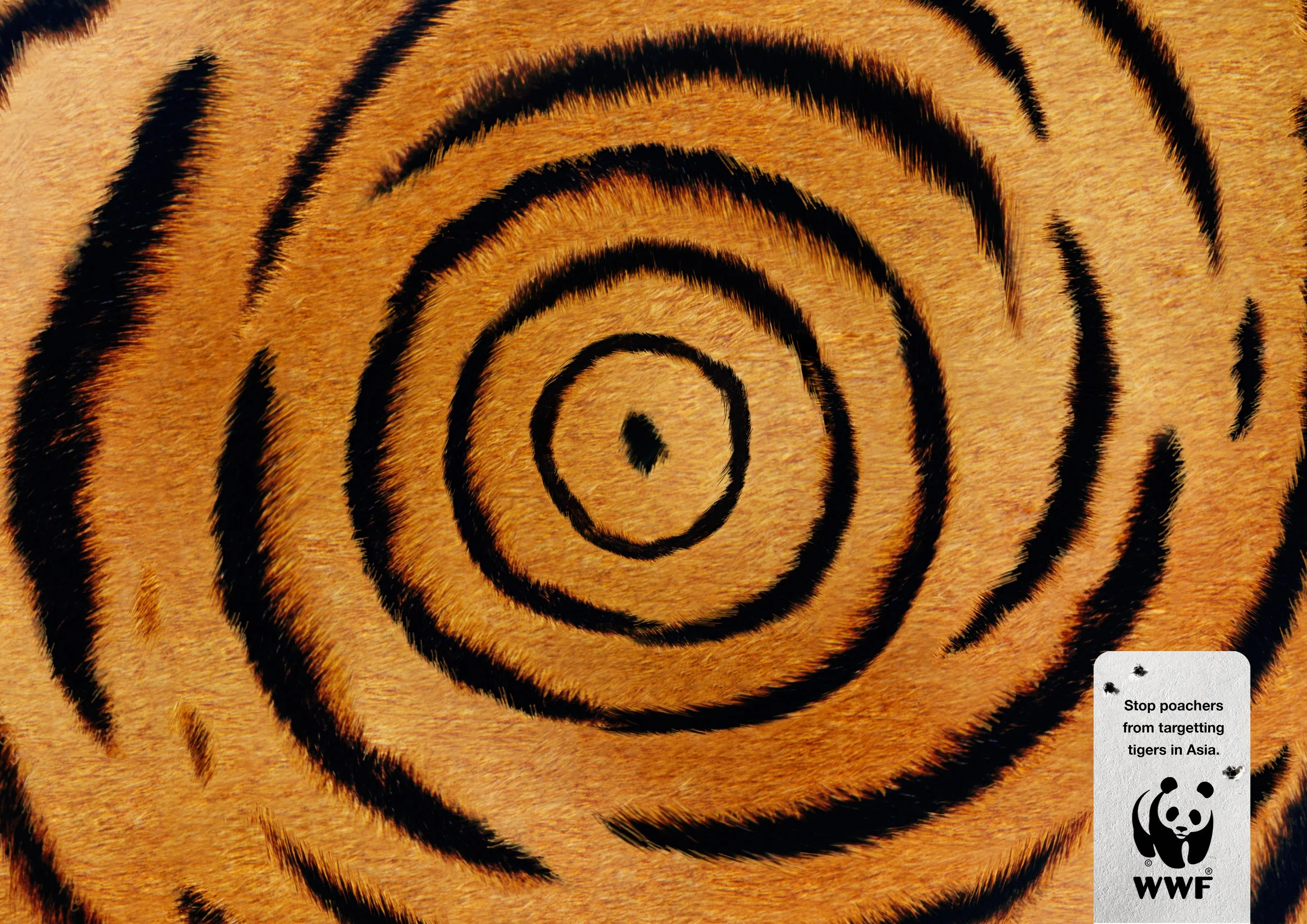 WWF+tigres.jpg