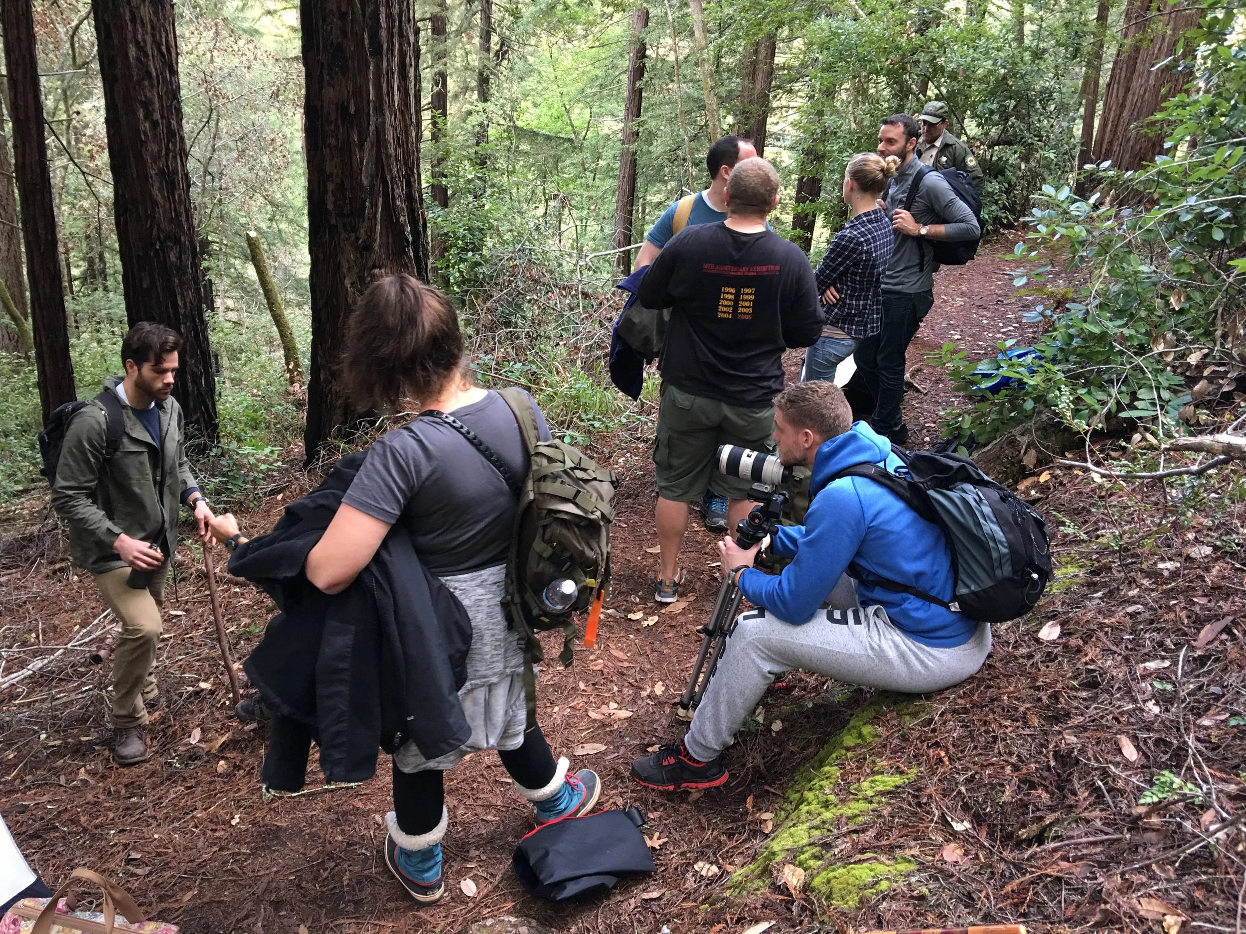 Forest-BTS2.jpg