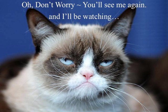 grumpy-cat copy.jpg