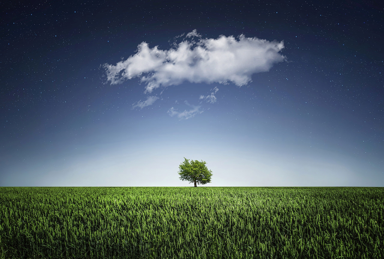 tree-natur-nightsky-cloud.jpg