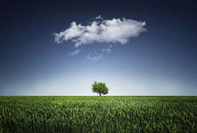 tree-natur-nightsky-cloud.jpg