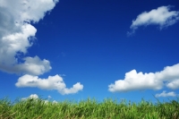blue sky.jpeg