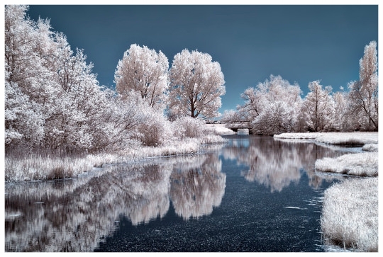 Winterscape.jpg