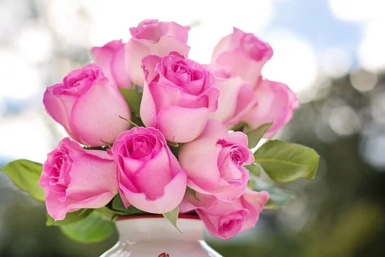 Roses_Pink _Small.jpg