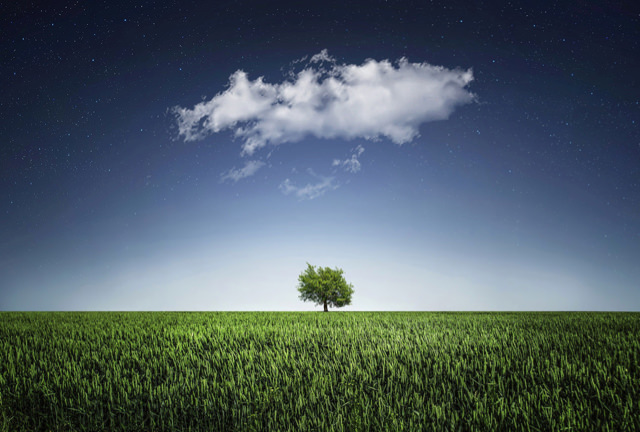tree-natur-nightsky-cloud.jpg