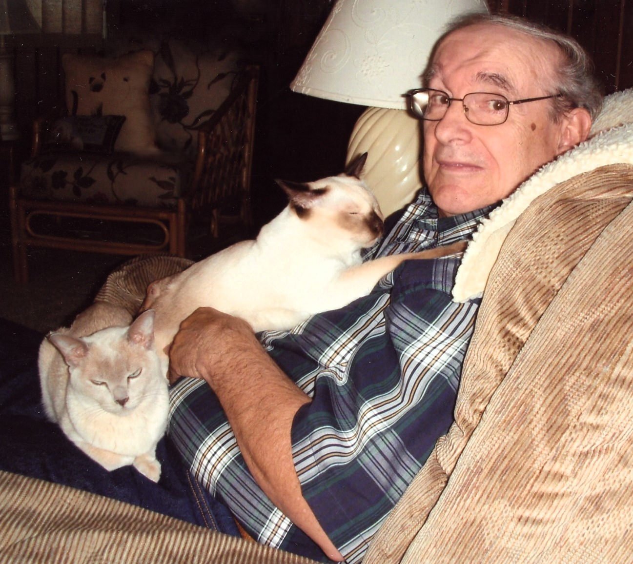 Dominic "Don" Dalton