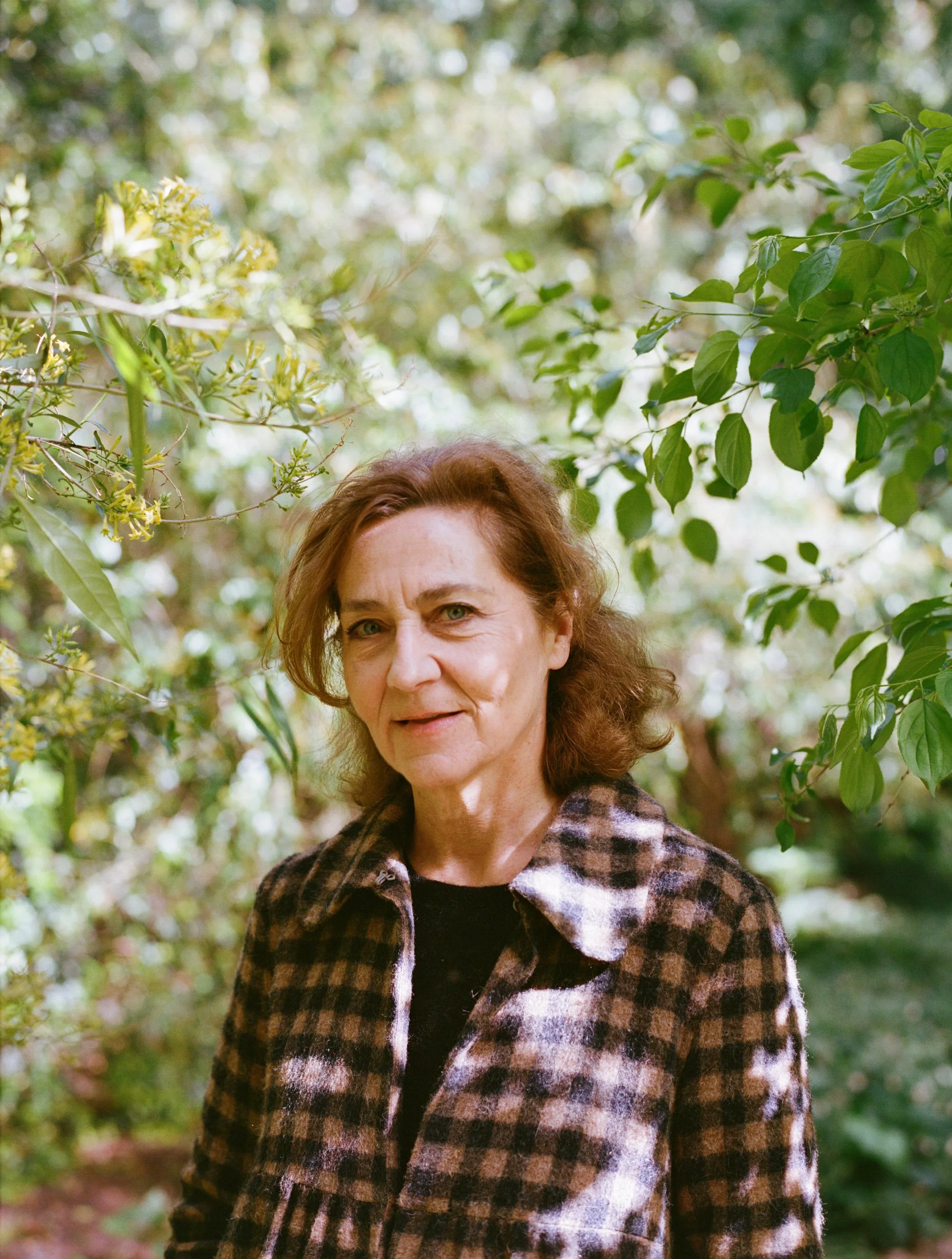 Anne Serre