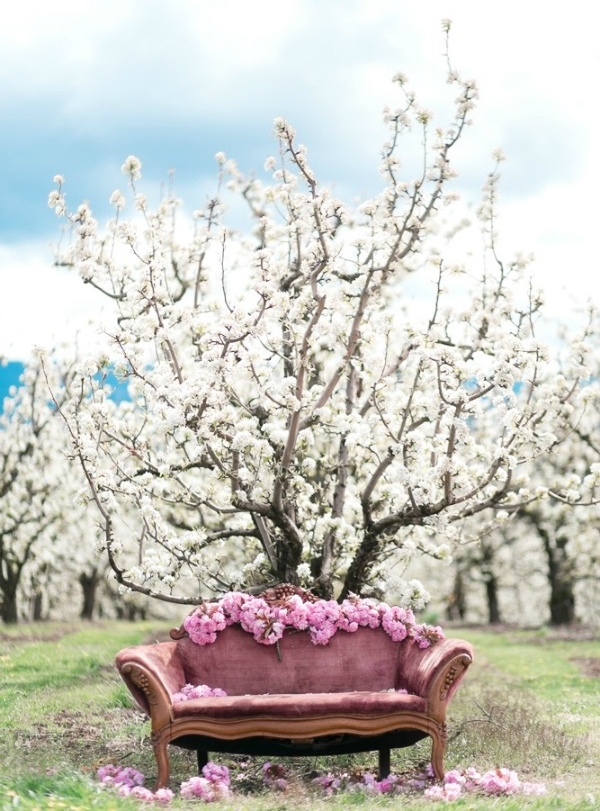  Spring 2016 | blooming blossoms | Organic Album by Darya 
