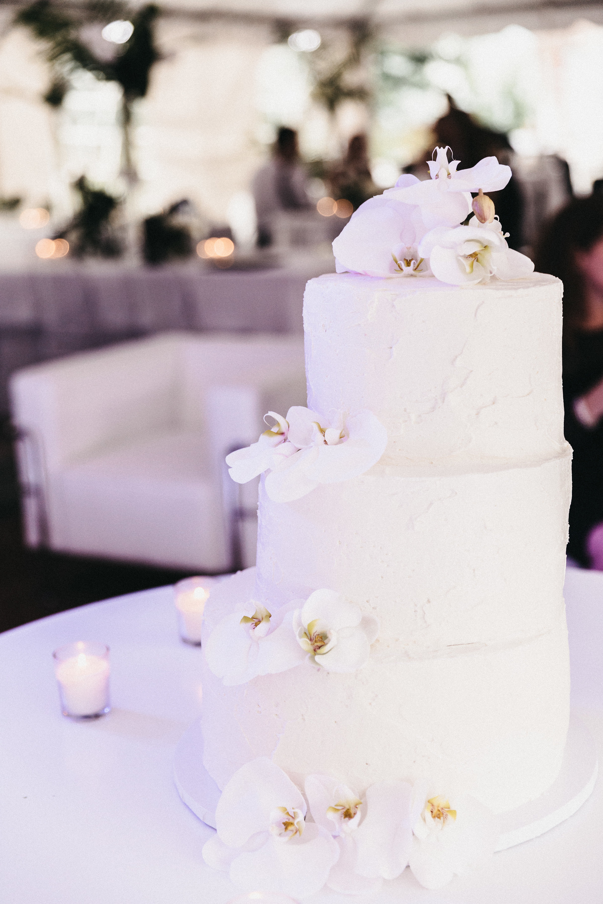 iowa wedding, iowa wedding dress, iowa wedding gown, denver wedding, denver wedding gown, little white dress shop, j mendel denver, wedding gown denver.
