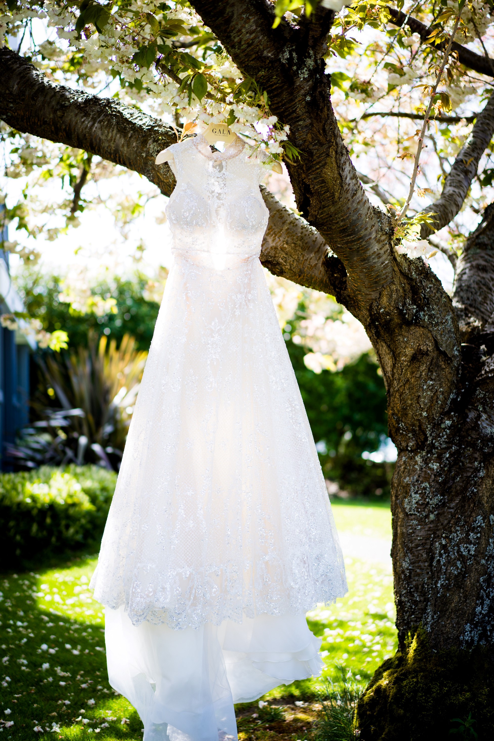 Galia Lahav Denver, Galia Lahav Colorado, Galia Lahav Seattle, Seattle Real Bride, Galia Lahav Gala 803, Maria Elena Denver, Love Veils Denver, Galia Lahav Real Bride
