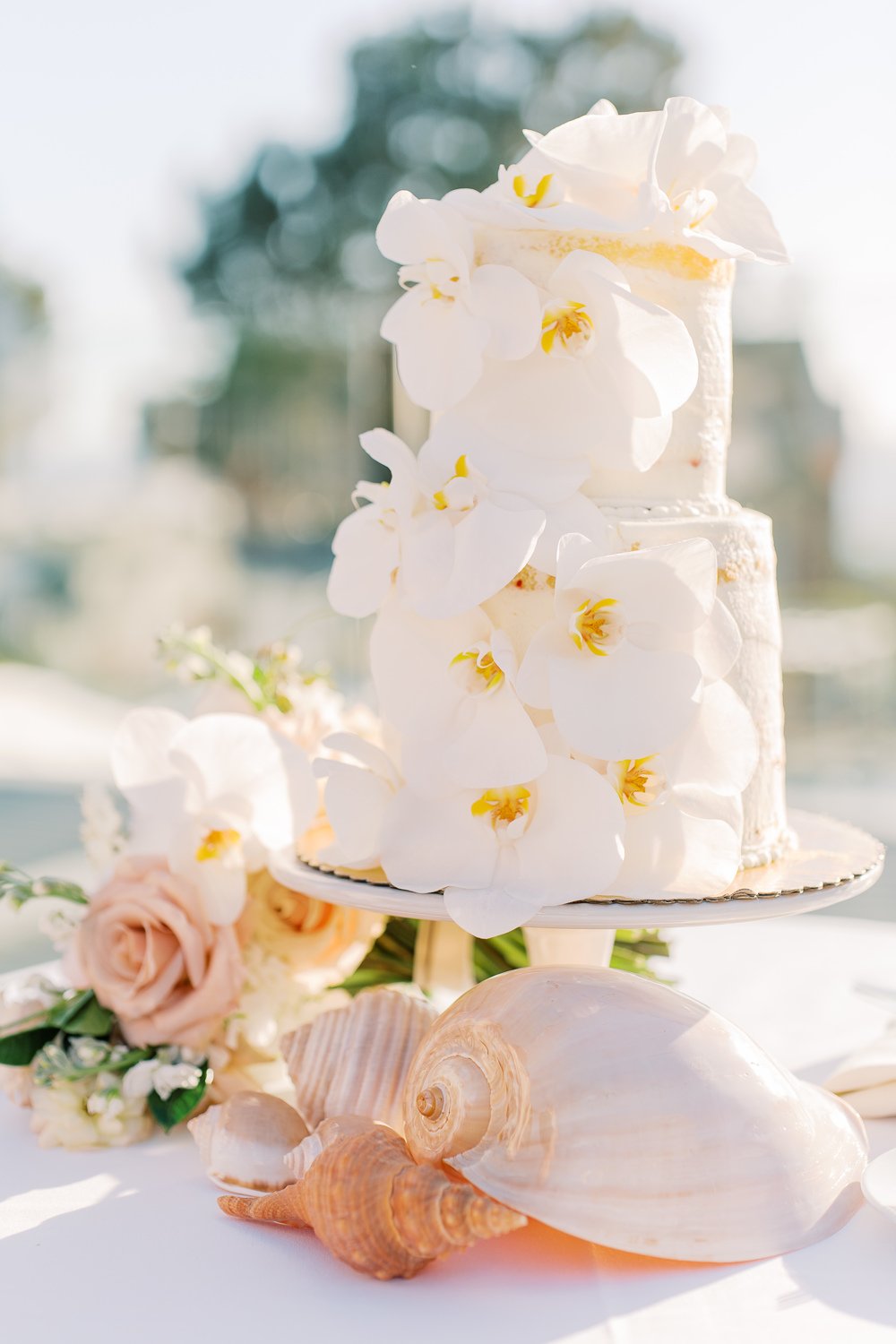 california beach wedding cake