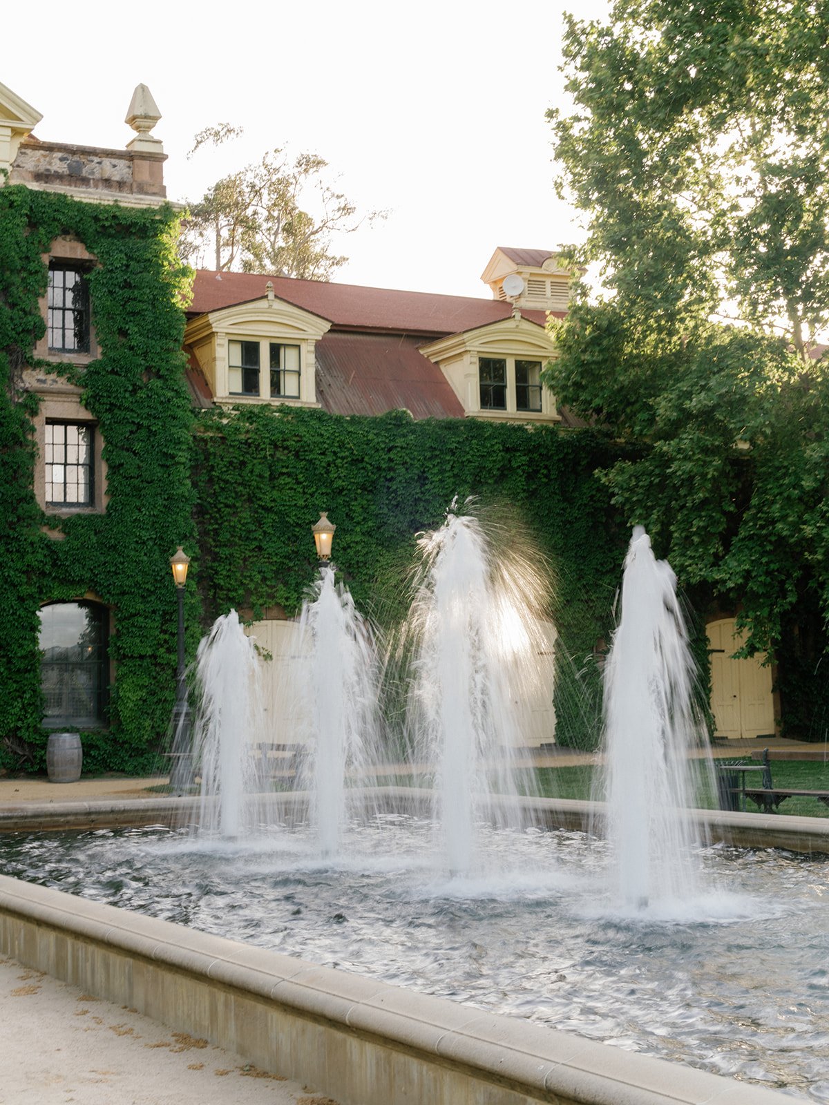  luxury napa valley wedding