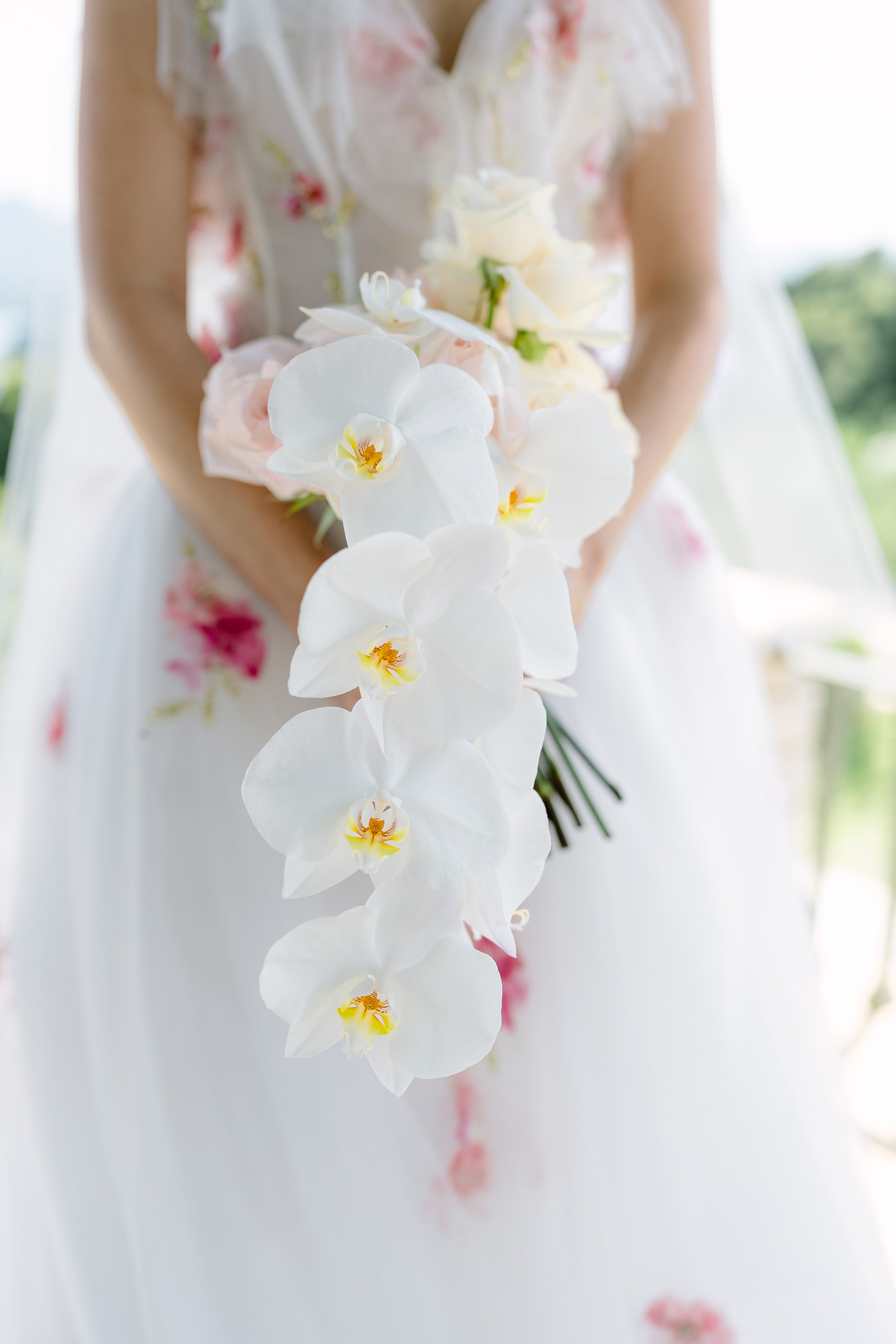 bridal orchids