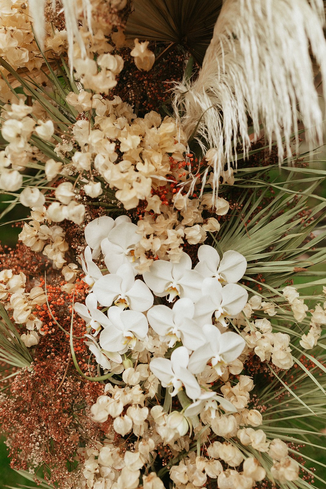  pampas grass dried florals boho flowers 