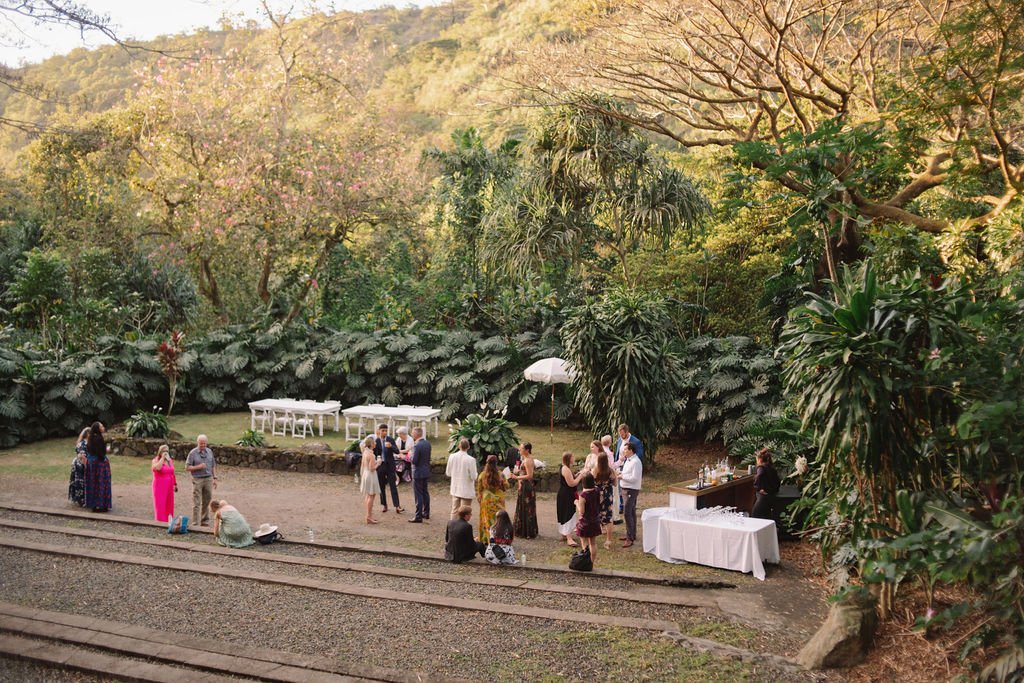  Hawaii wedding unique wedding 2024 wedding 2023 wedding outdoor wedding outdoor reception  