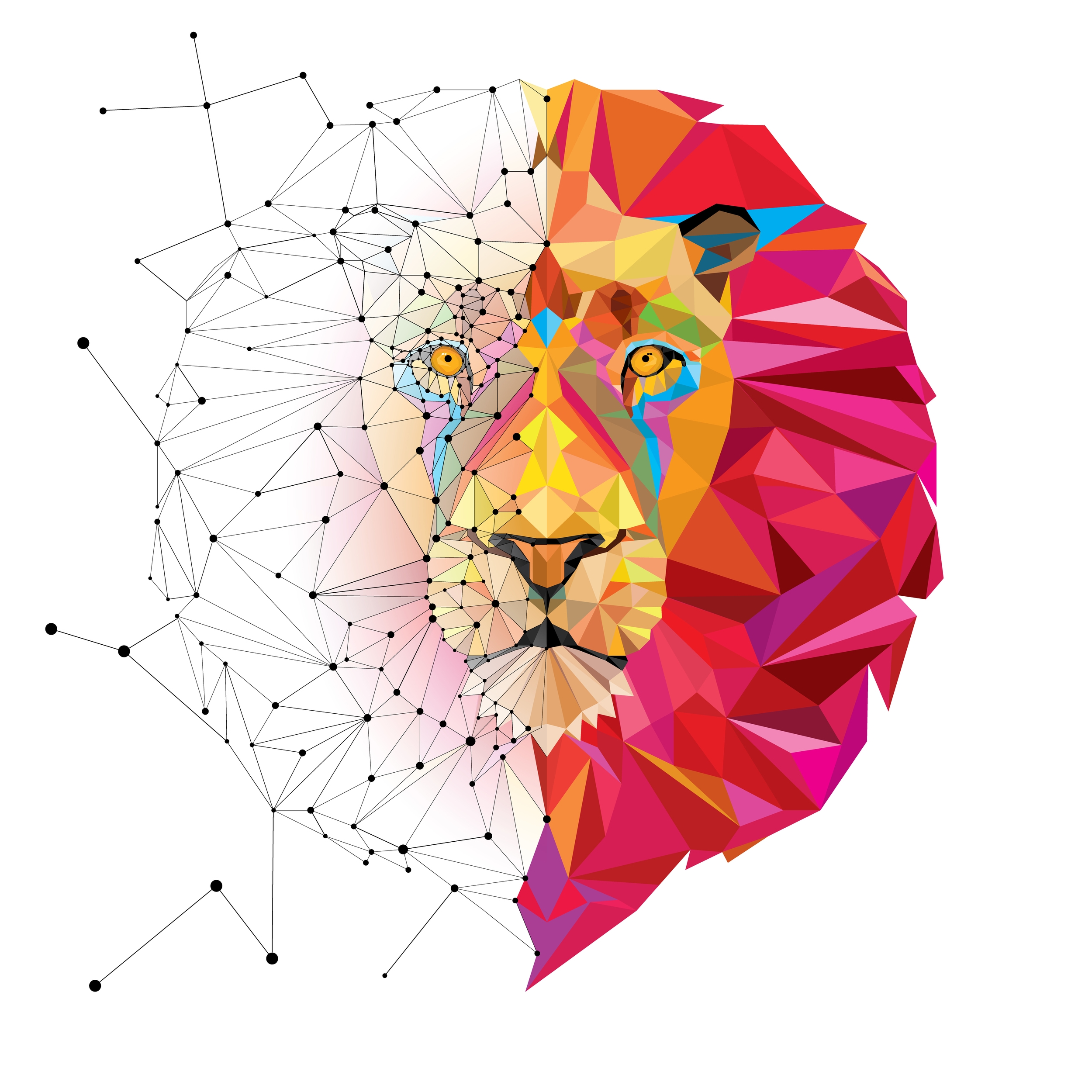 Lion Abstract.jpg