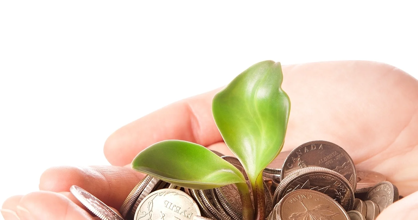 coins growth.jpg